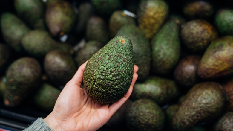 Fresh avocado in a woman´s hand