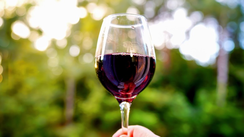 Hand holding glass of red wine