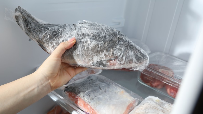 Person taking frozen fish out of the freezer