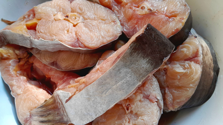 Pile of raw catfish steaks