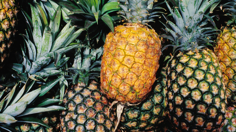 a pile of pineapples of varying levels of ripeness