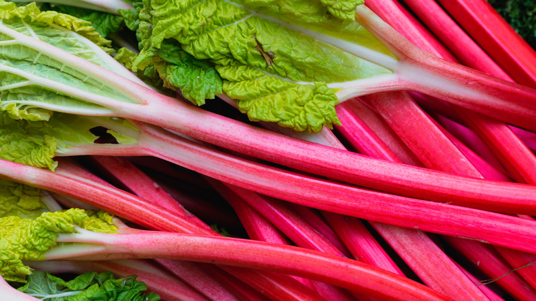 a pile of red stalks of rhubarb with green leaves