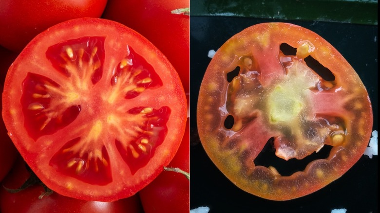 two slices of tomato, one red and fresh, the other pale and unripe