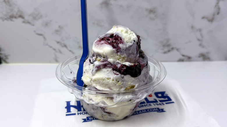 a small dish of Handel's blueberry cobbler ice cream