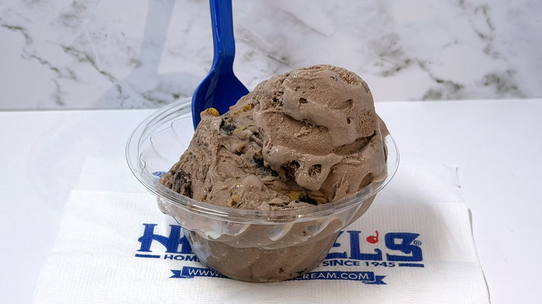 a small dish of Handel's chocolate peanut butter brownie ice cream