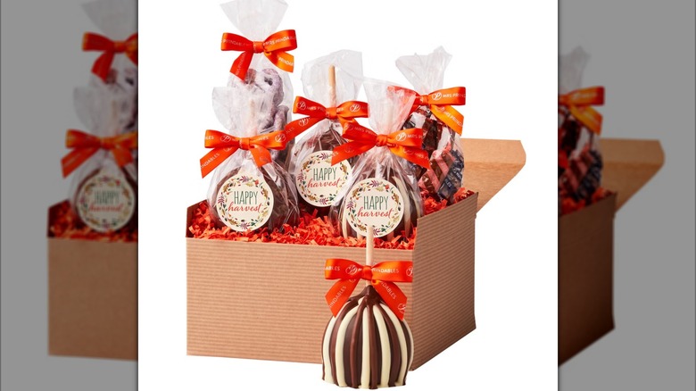 Mrs. Prindables Fall Harvest Box opened on white background