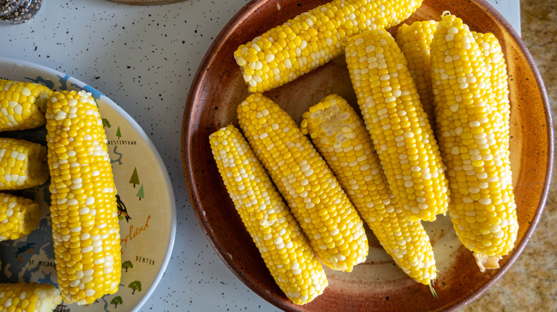 Corn on the cob on a plate