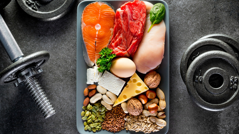 A tray of high protein foods, including meat, fish, eggs, cheese, nuts, and seeds, surrounded by dumbbells