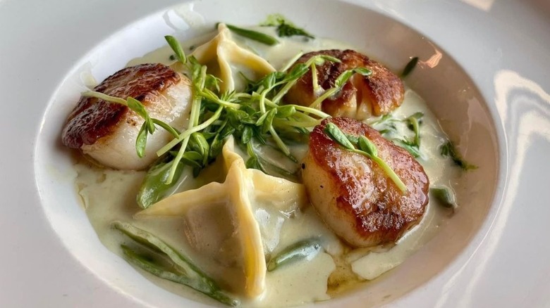 Seared scallops in a shallow white bowl with dumplings and a cream sauce