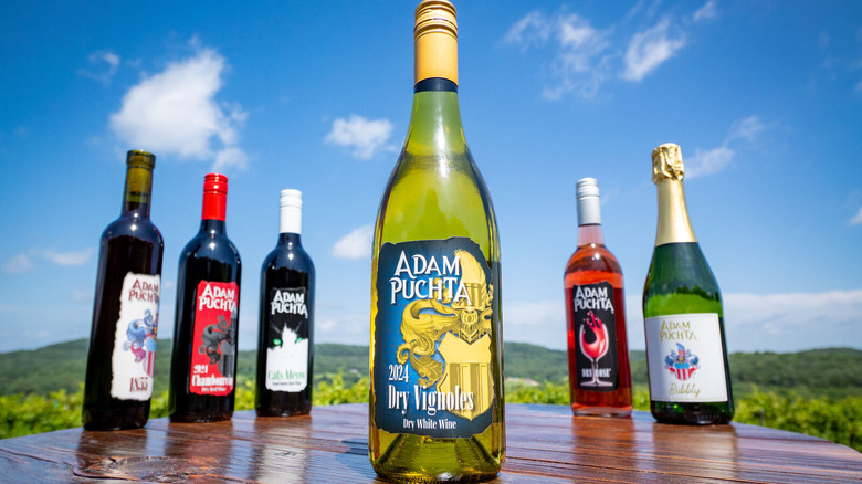 6 wine bottles on a wood table outside