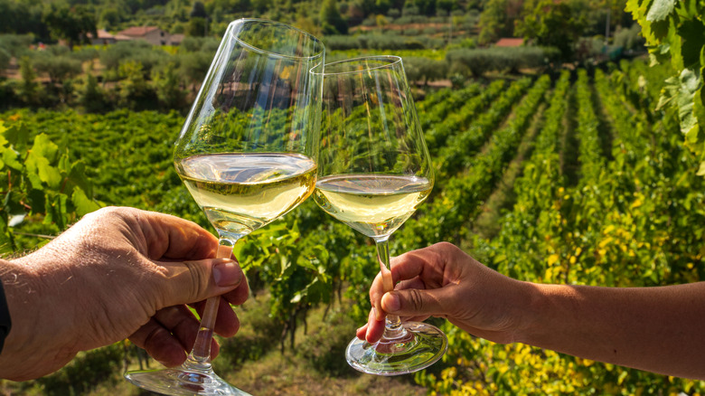 two wine glasses with wine in front of vineyard