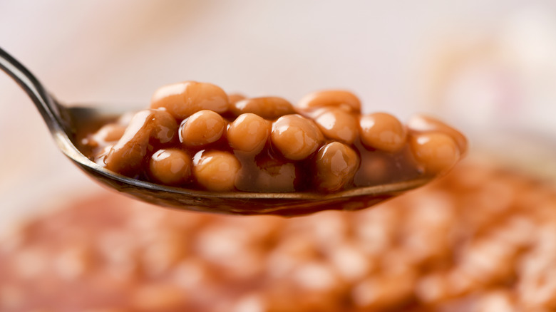 Close-up of baked beans on a spoon