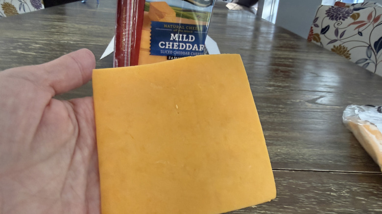 Hand holding a slice of Sargento Mild Cheddar