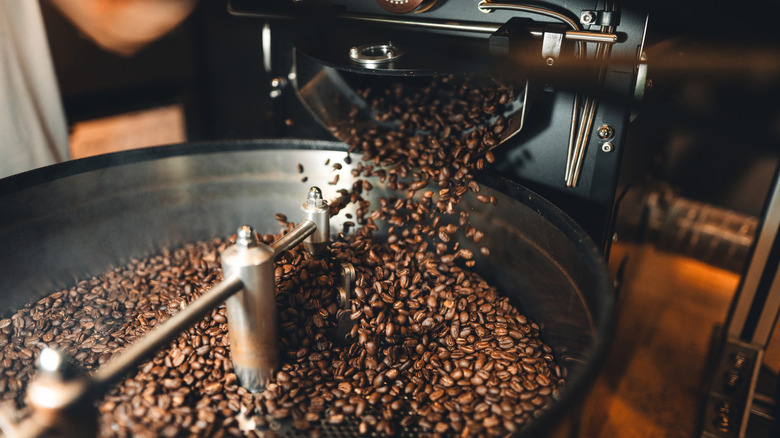 Freshly roasted coffee beans tumbling from a roaster drum into a cooling tray.
