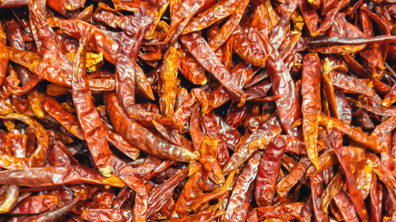 Close up of chiles de árbol