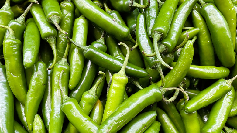 Pile of serrano chiles