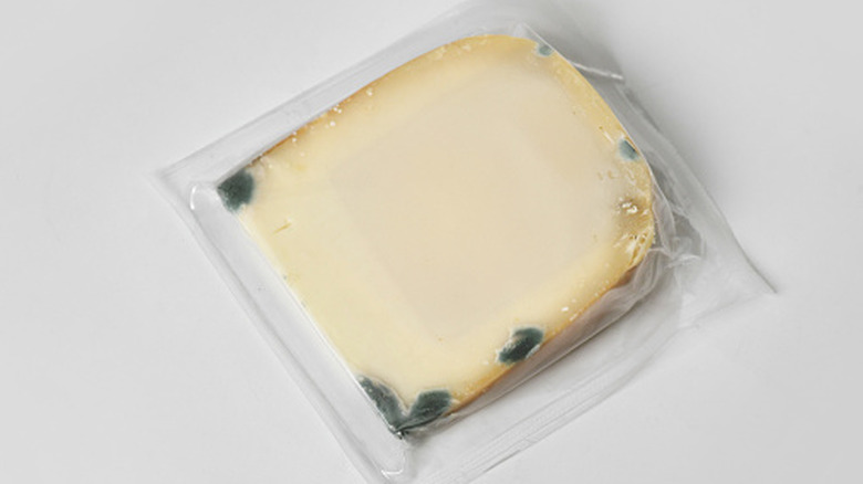 plastic sealed block of white soft cheese with mold around the edges