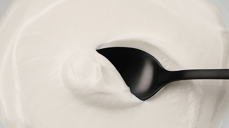 closeup of a black spoon dipping into plain white yogurt
