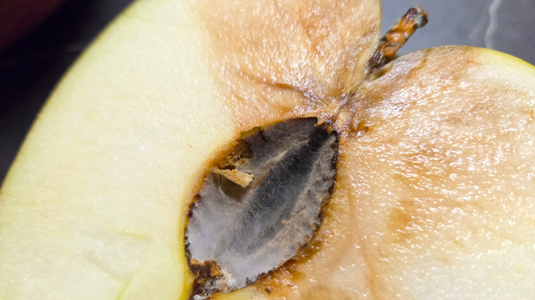 Detailed image of a halved apple showcasing evident decay and browning, with seeds exposed in the core.