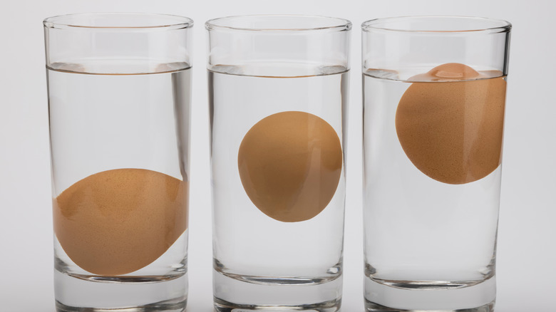 Eggs in water test on transparent glass , Egg freshness test on white background , Bad egg floats in water