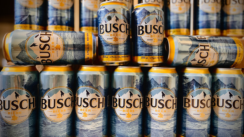 Stacked cans of Busch Beer