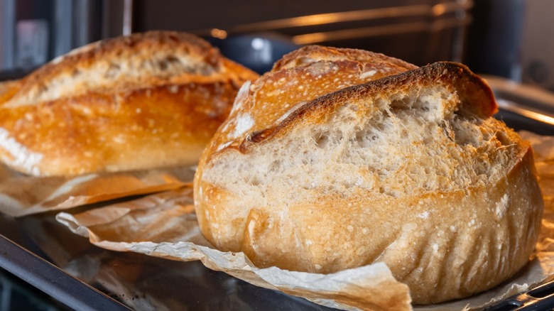 Fresh homemade bread loaves resting on a baking pan with parchment paper beneath