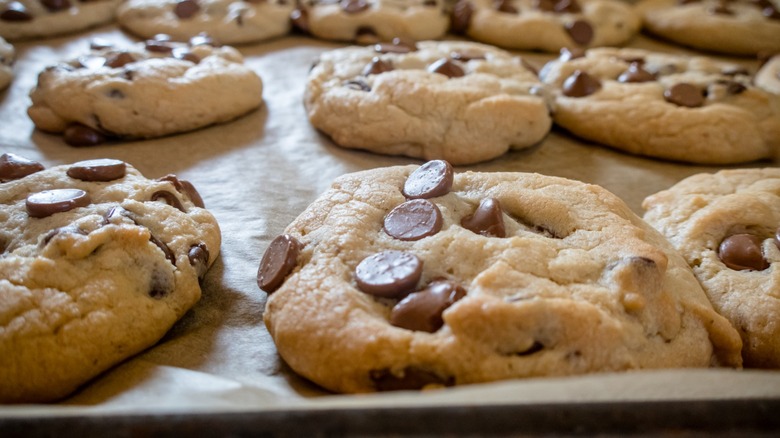 A tray filled with freshly baked chocolate chip cookies, still warm and golden brown, showcasing their gooey centers and crispy edges.