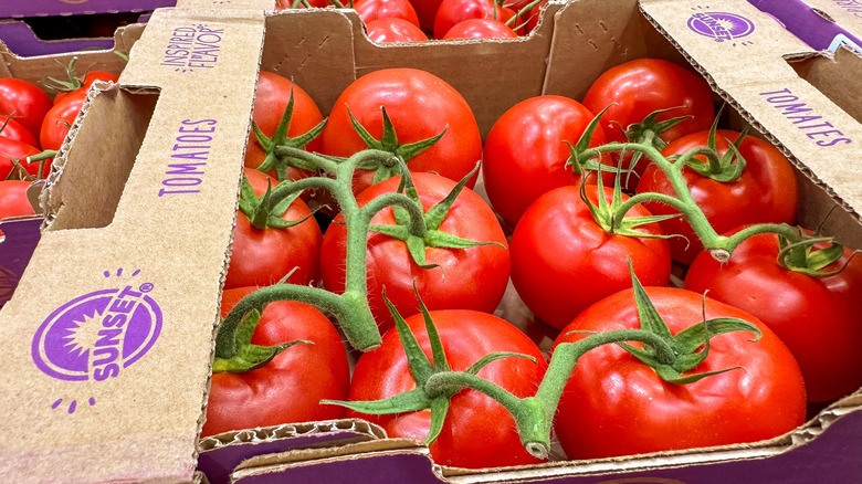 Bright red tomatoes on the vine on display in cartons at Costco
