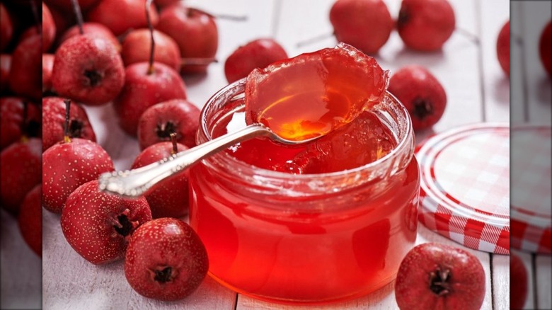 Mayhaw Jelly being spooned out of jar with mayhaw berries in background