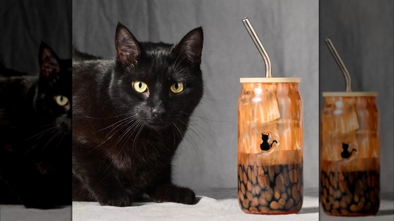 Mystic Confetti Icon Juice Glass next to a cat