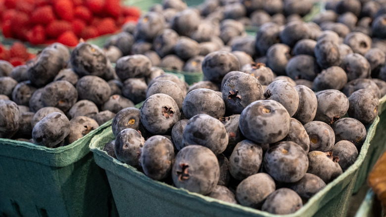 Crates of blueberries
