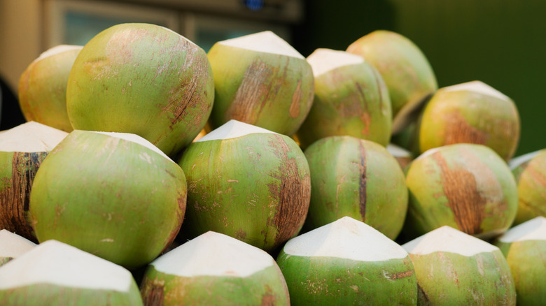Row of coconuts for sale