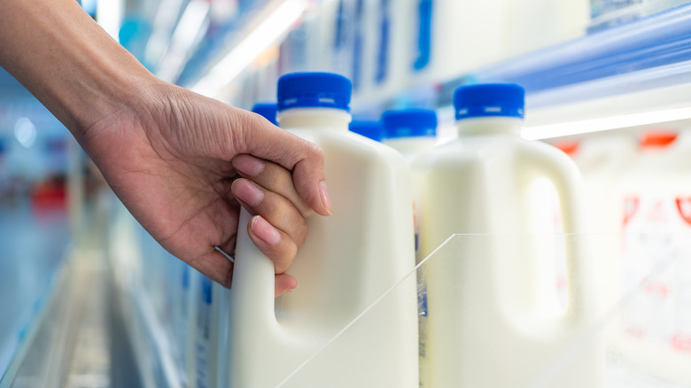 Hand grabbing jug of milk in grocery store