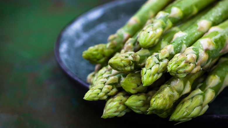 Asparagus tips on a blue plate
