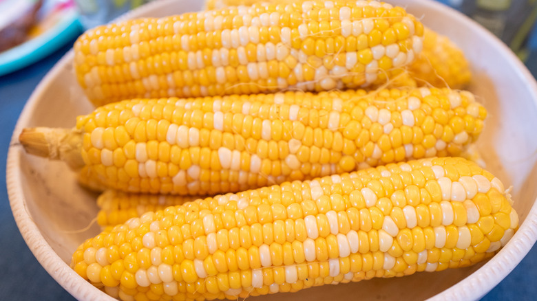 Bowl of fresh corn on the cob