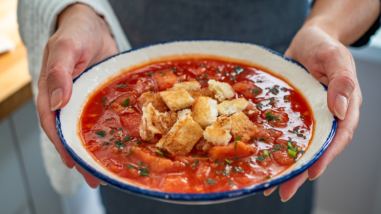 Hands holding bowl of chunky tomato soup