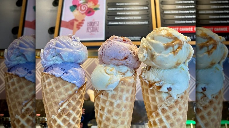 three ice cream cones from Salt & Straw with flavors like Pinot Poached Pear Sherbet, Chocolate Plum and Hazelnut shortbread, and Beecher's Cheese with Apple Pie Cinnamon Rolls