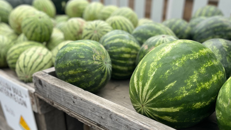Watermelons sitting outside at farm stand