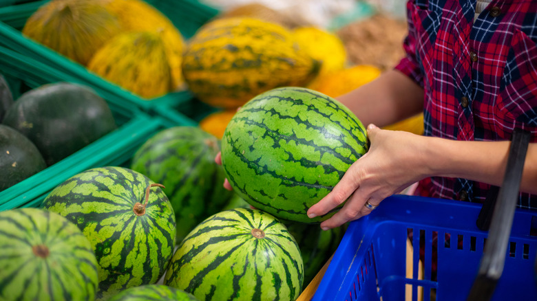 Hands grabbing watermelon at grocery store