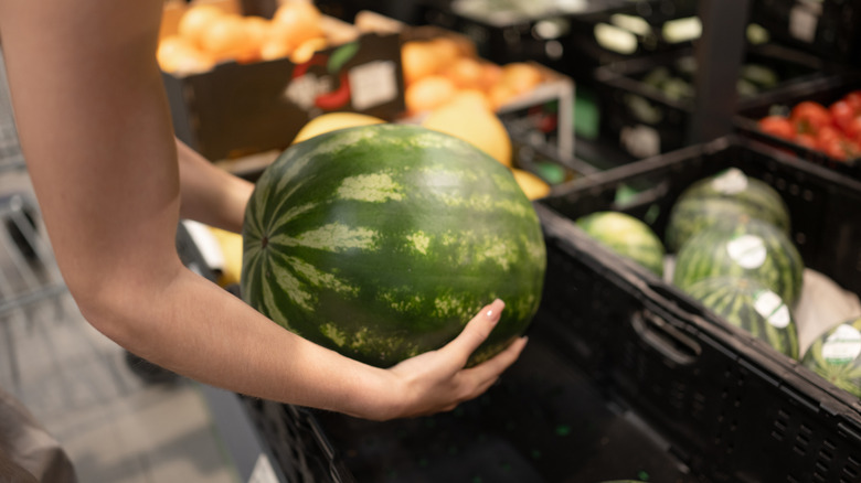 Person picking up watermelon in store