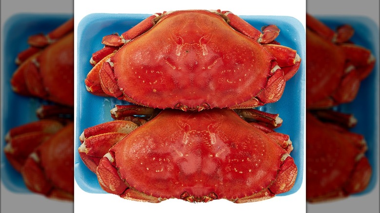 Two Dungeness crabs on a blue styrofoam tray