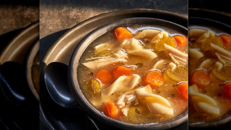 Bowl of chicken noodle soup with carrots and celery
