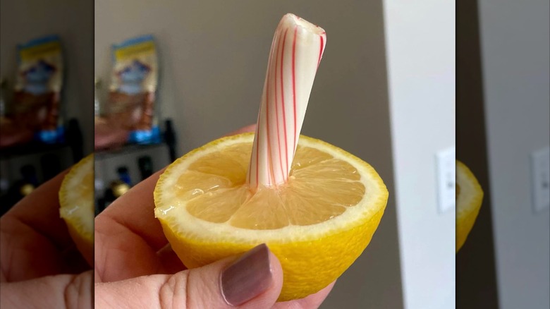 Hand holding baltimore lemon stick