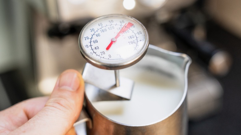 close up of barista hand holding milk frother with temperature thermometer gauge in it