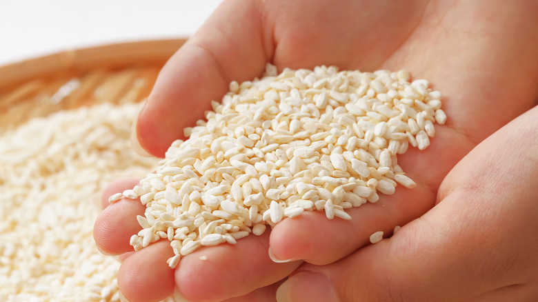 Two cupped hands holding koji.