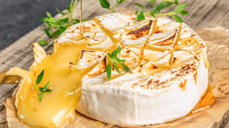 Melty, grilled brie cheese wheel with herbs and honey