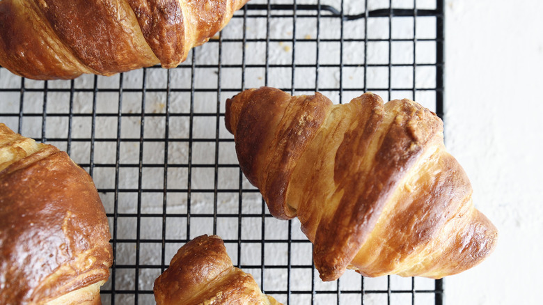Baked croissants on wire rack
