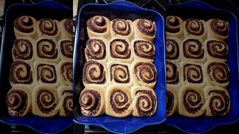 Blue tray of 12 cinnamon rolls stuffed with Nutella