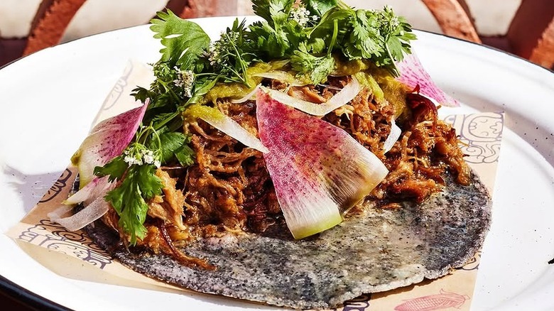 Nixta Taqueria's duck carnitas tacos on a blue corn tortilla, topped with shredded duck, shaved onions, watermelon radish, and cilantro, served on a white plate.