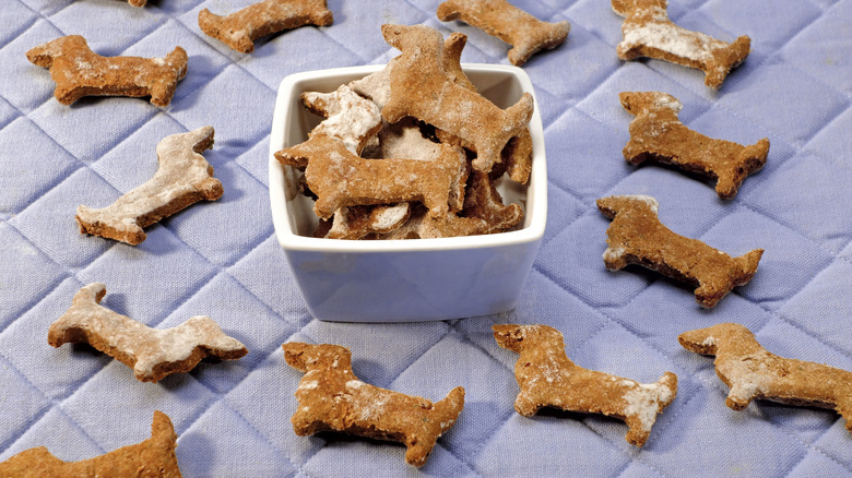 homemade dog treats